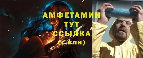 прущие грибы Беломорск