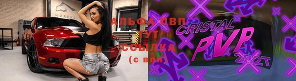 прущие грибы Беломорск