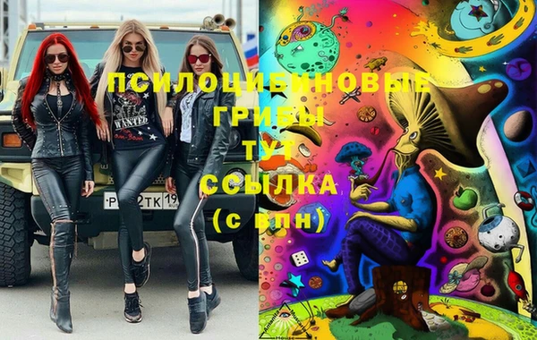 прущие грибы Беломорск