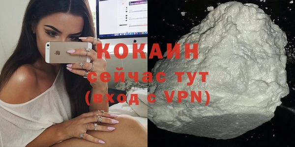 прущие грибы Беломорск