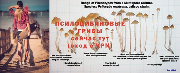 гашиш Белокуриха