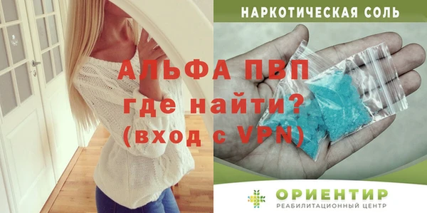 прущие грибы Беломорск