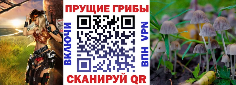 Псилоцибиновые грибы ЛСД  Воскресенск 